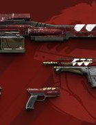 11022017_faction_rally_nm_weapons.jpg